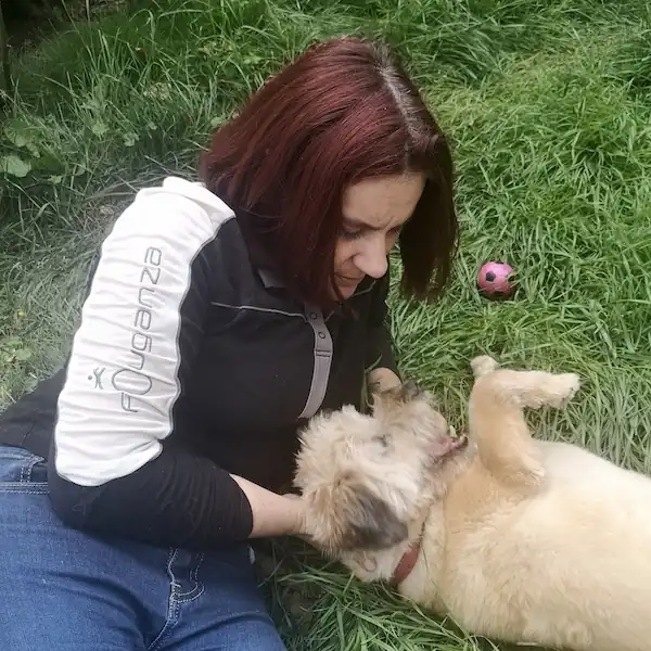 Garde à votre domicile et balade chien Sartrouville Garde à votre domicile et balade chien Sartrouville