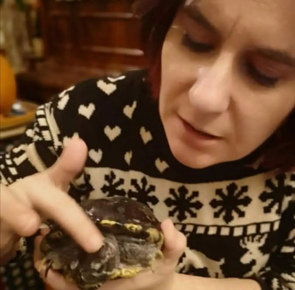 Garde et services pour animaux autour de Sartrouville Garde et services pour animaux autour de Sartrouville