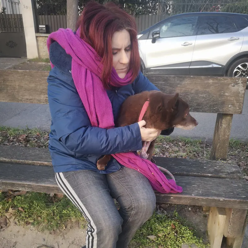 éducation chien sartrouville éducation chien sartrouville